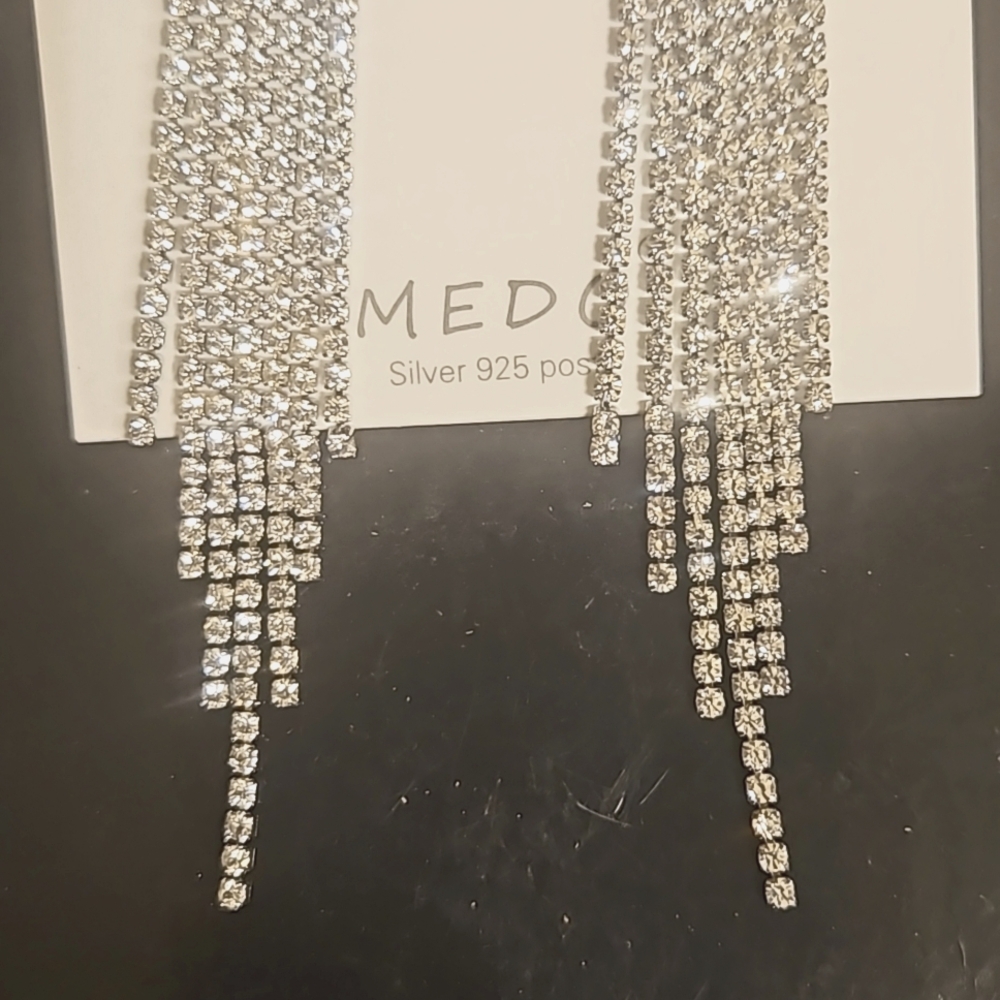 Earings NWOT